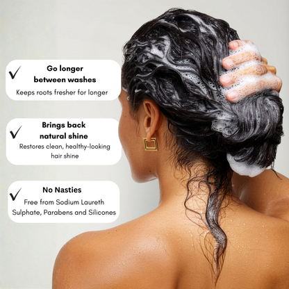 Clarifying & Detox Bundle