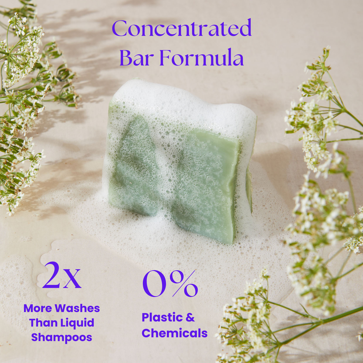 Repair Shampoo Bar - Aloe Vera | 80g