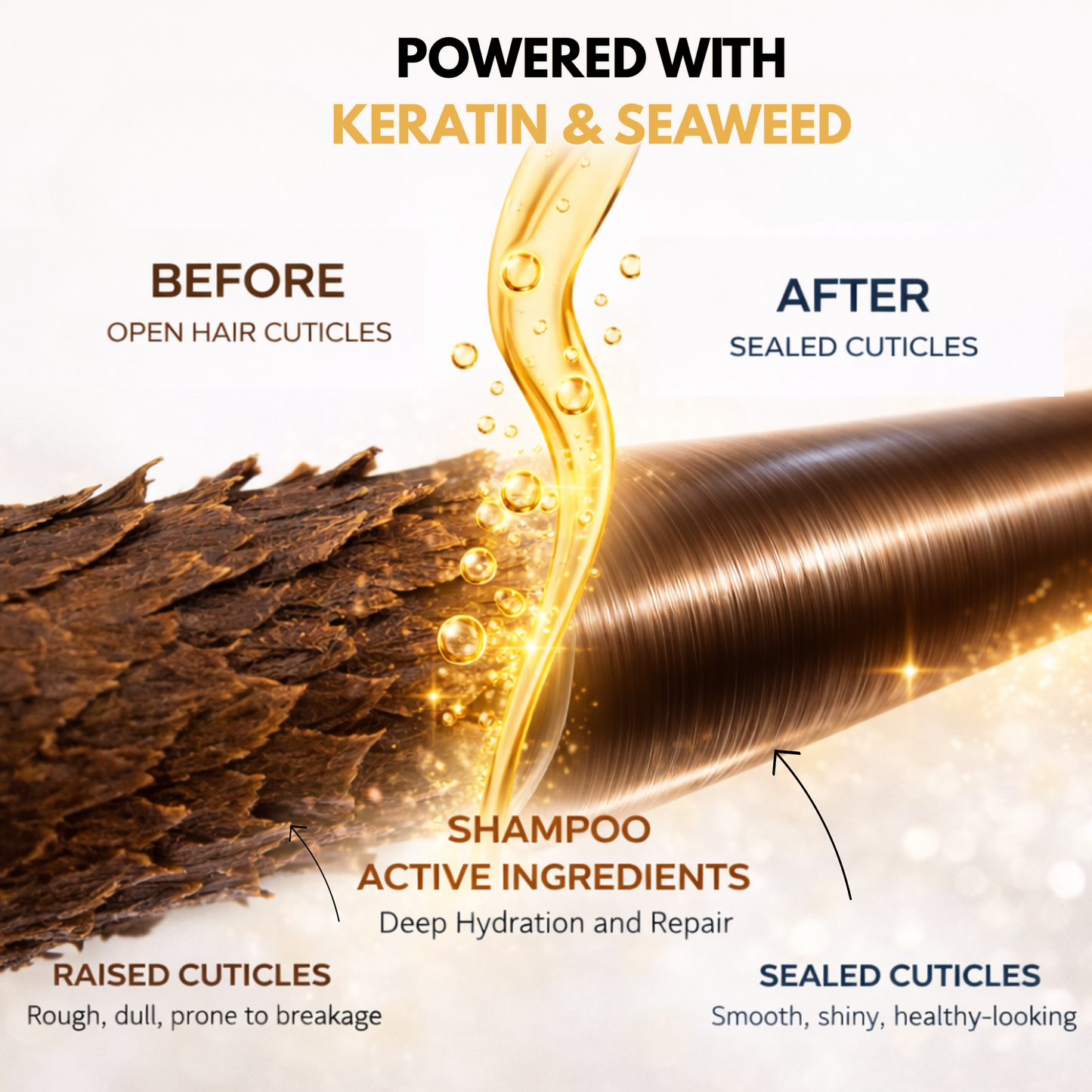 Smooth & Gloss Bundle